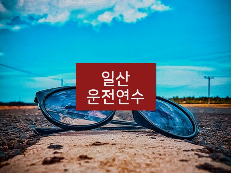 일산운전연수 후기