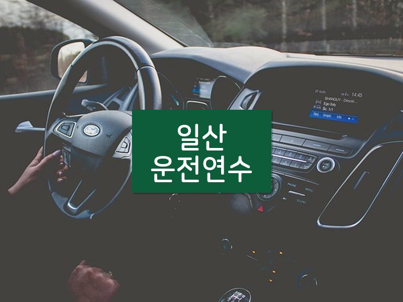 일산운전연수 후기