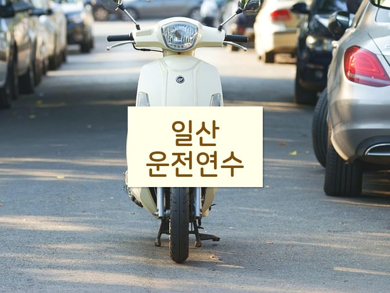일산운전연수 후기
