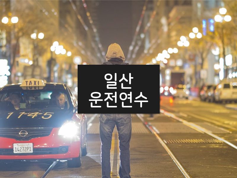 일산운전연수 후기