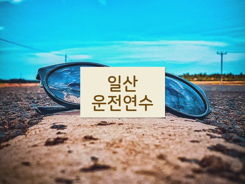 일산운전연수 후기