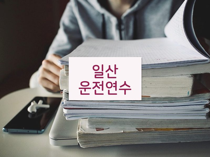 일산운전연수 후기