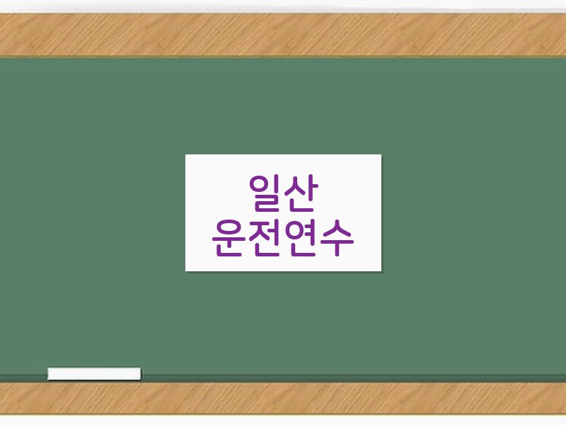 일산운전연수 후기