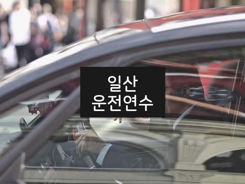 일산운전연수 후기