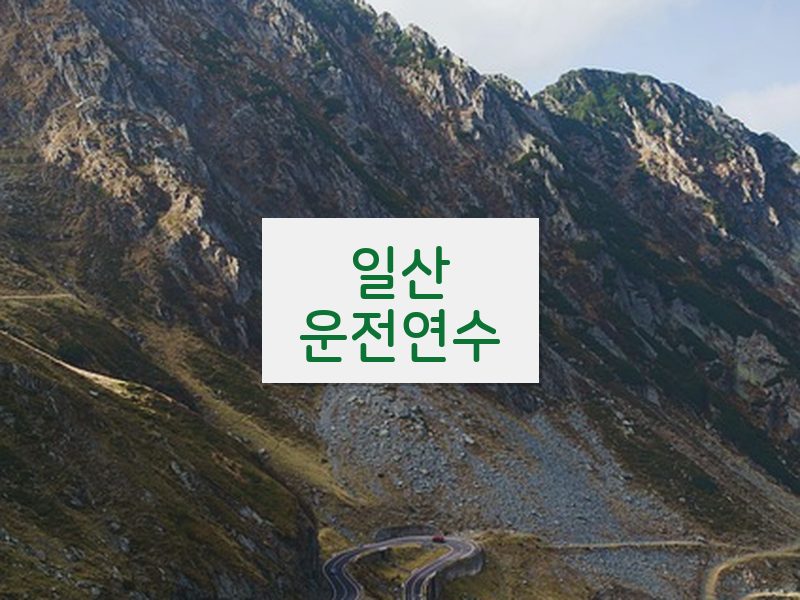 일산운전연수 후기