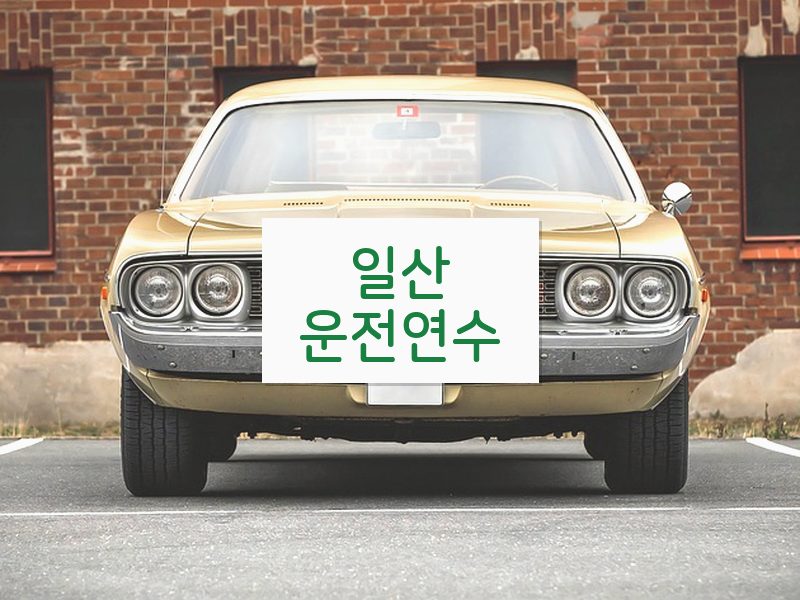 일산운전연수 후기