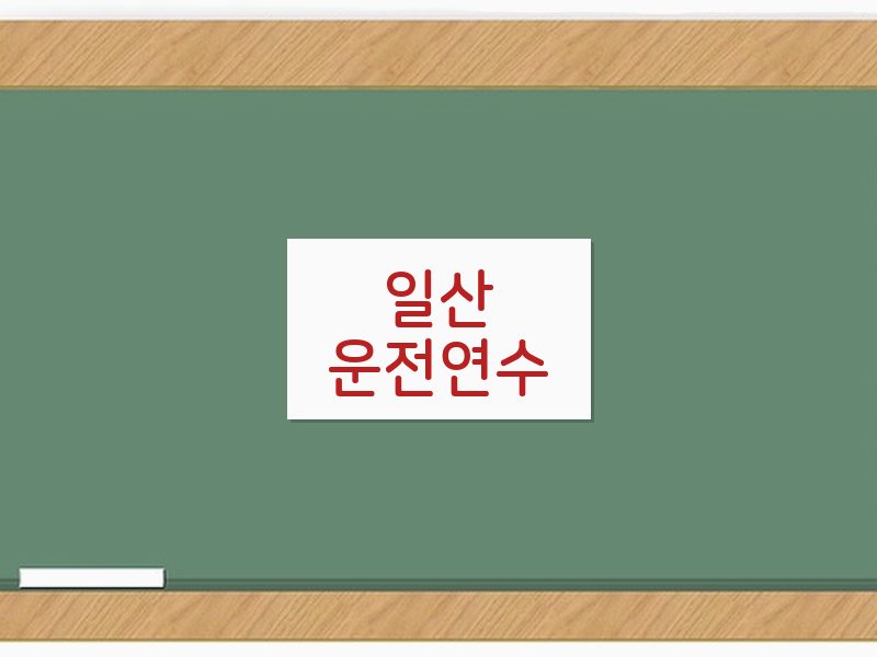 일산운전연수 후기