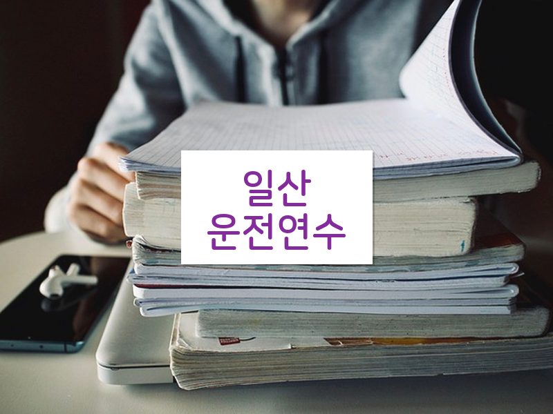 일산운전연수 후기