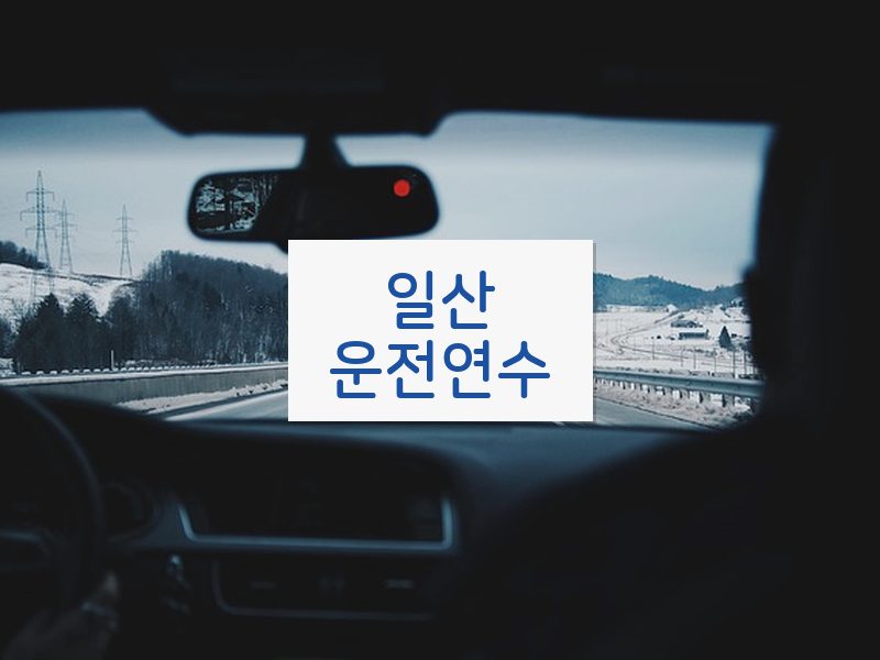 일산운전연수 후기