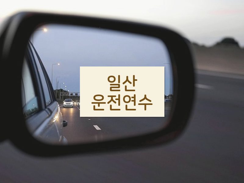 일산운전연수 후기