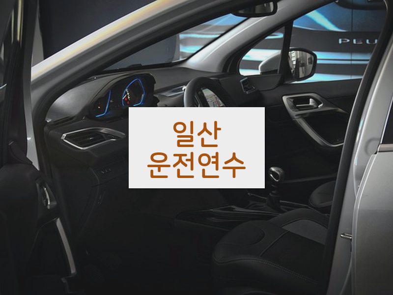 일산운전연수 후기