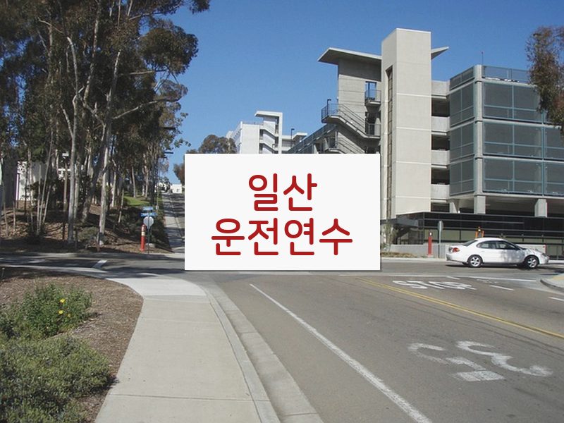 일산운전연수 후기