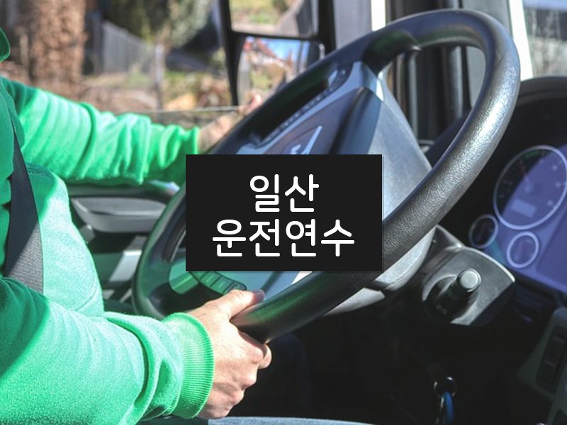 일산운전연수 후기