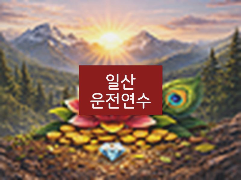 일산운전연수 후기