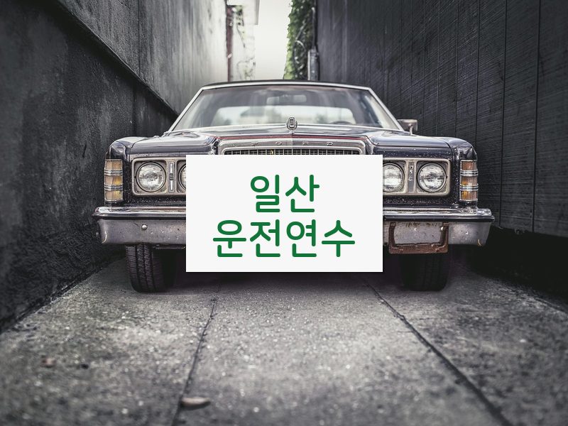 일산운전연수 후기