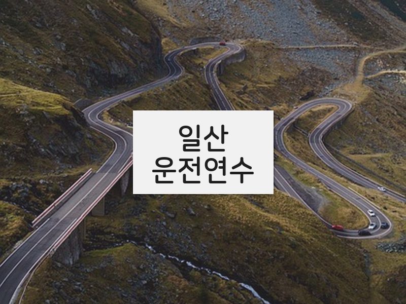 일산운전연수 후기