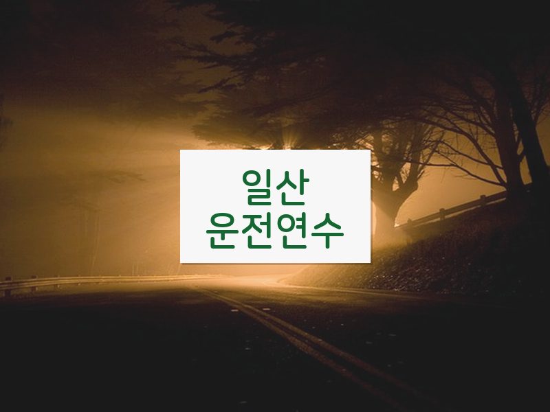 일산운전연수 후기