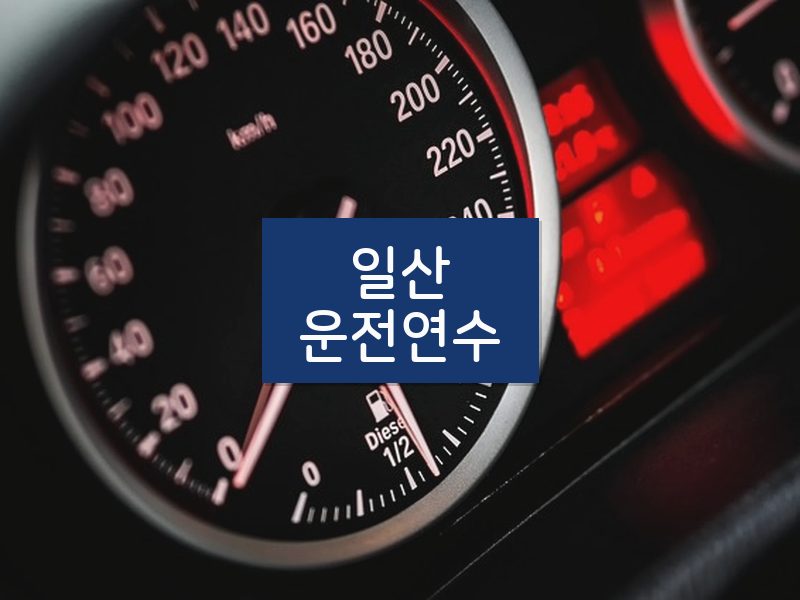일산운전연수 후기