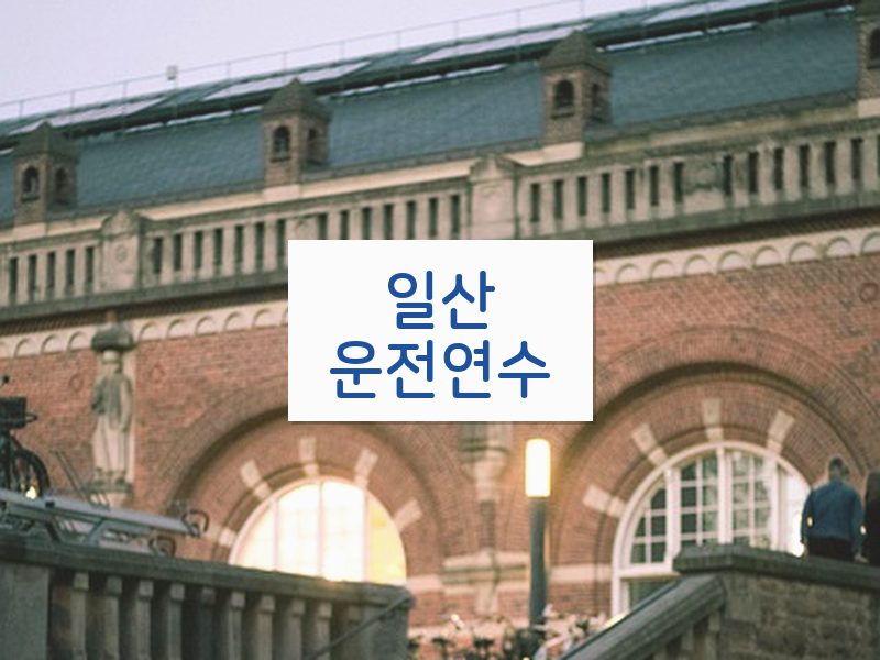 일산운전연수 후기