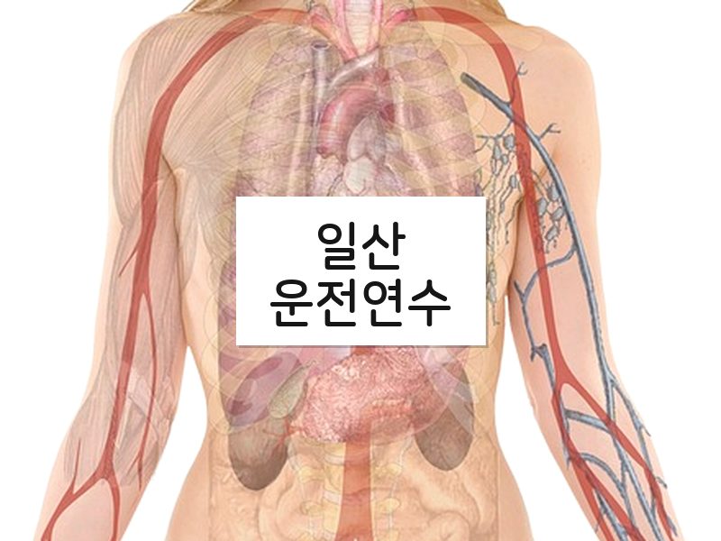일산운전연수 후기