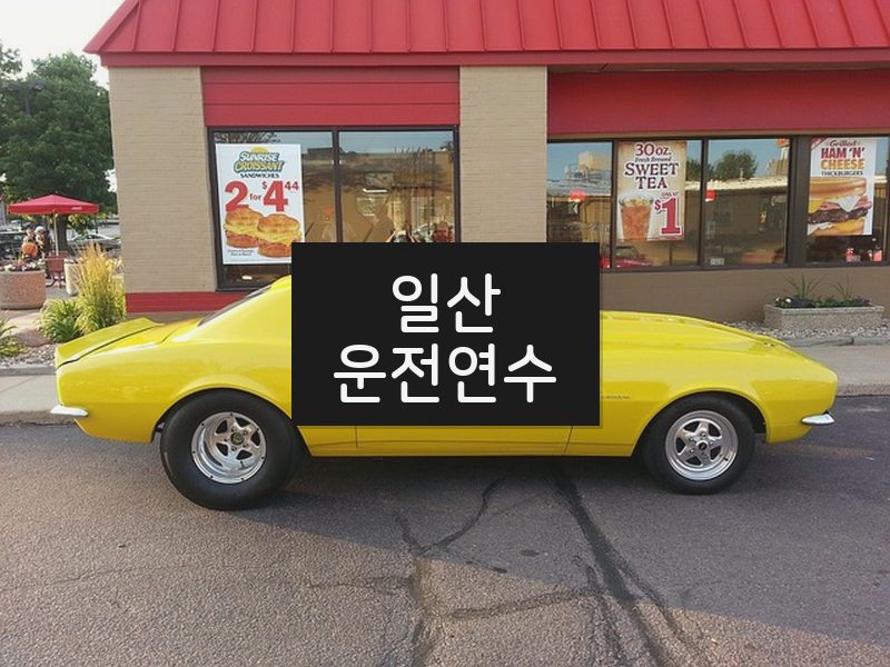 일산운전연수 후기