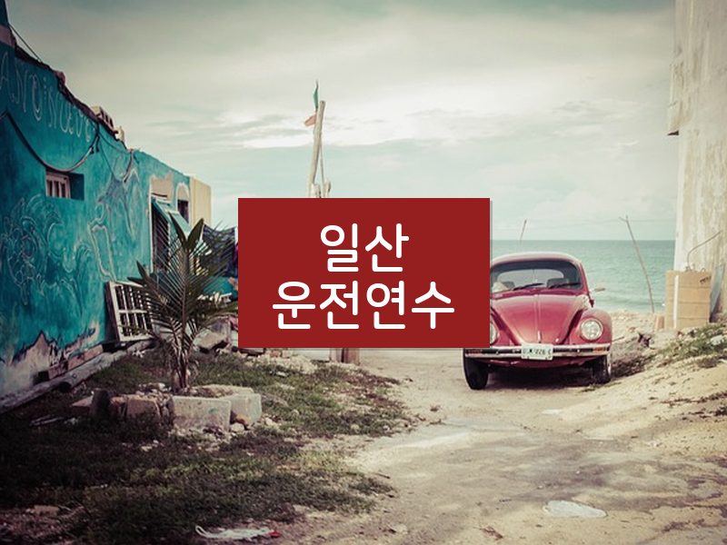 일산운전연수 후기