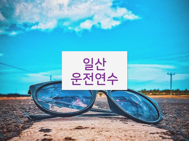 일산운전연수 후기