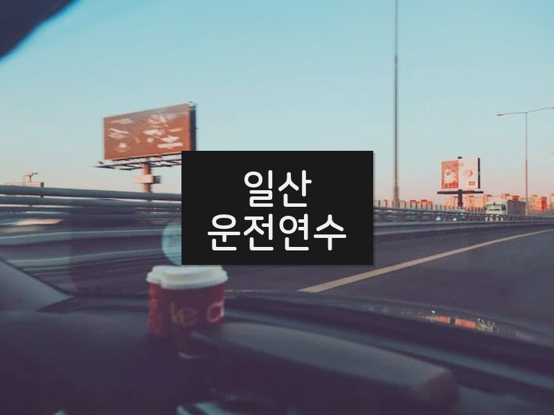 일산운전연수 후기