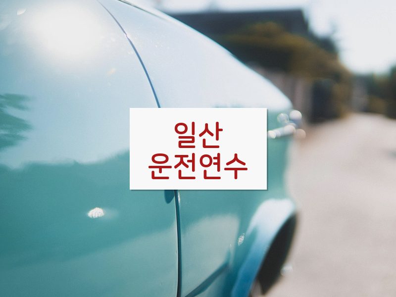 일산운전연수 후기