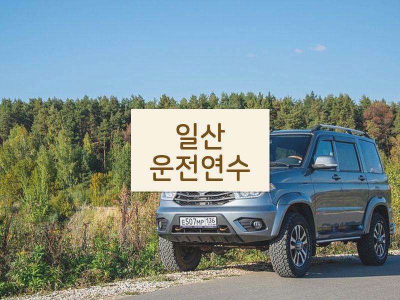 일산운전연수 후기