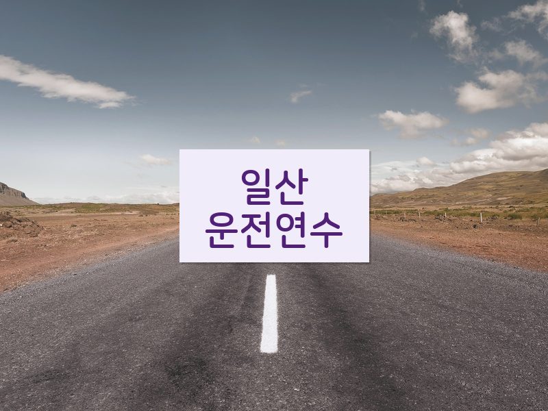 일산운전연수 후기
