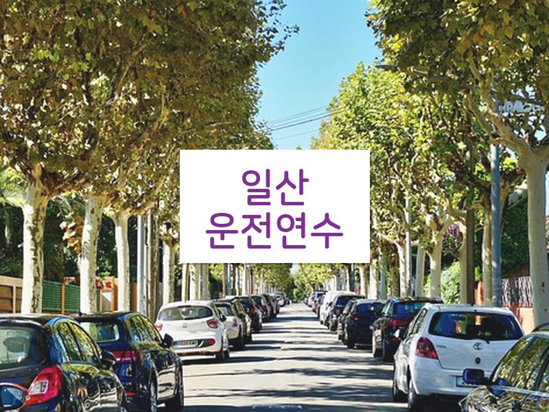 일산운전연수 후기