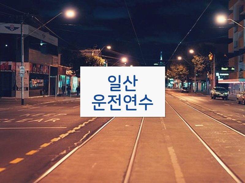 일산운전연수 후기