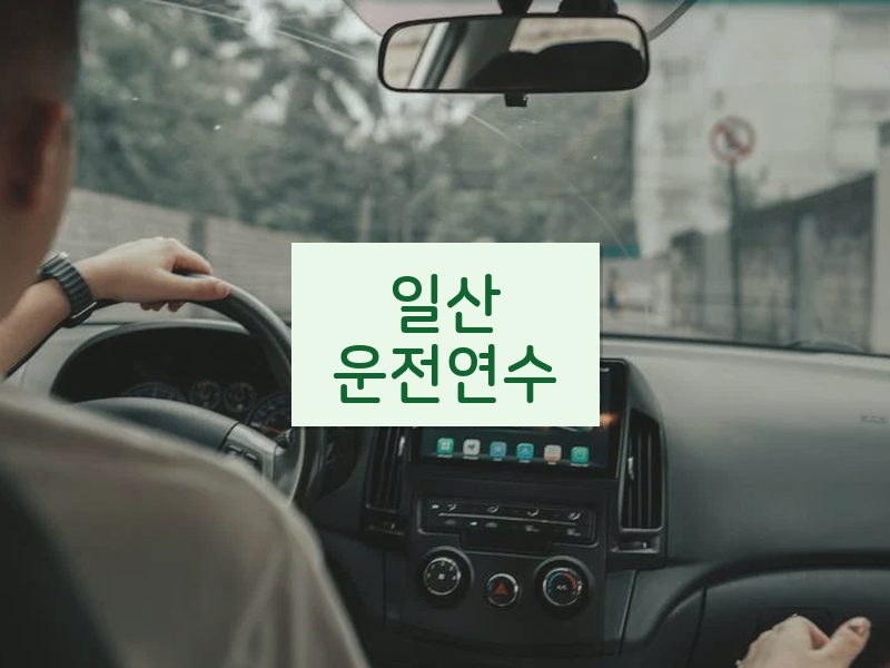 일산운전연수 후기