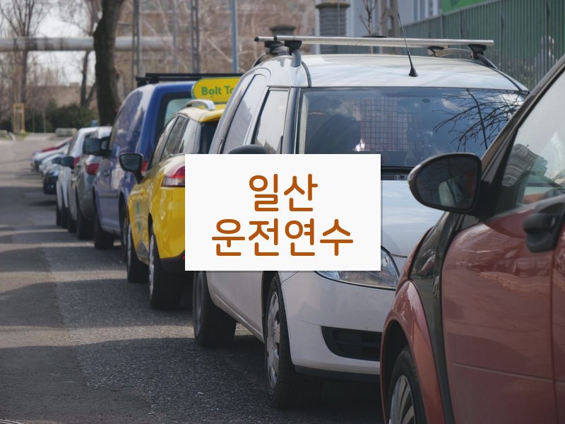 일산운전연수 후기
