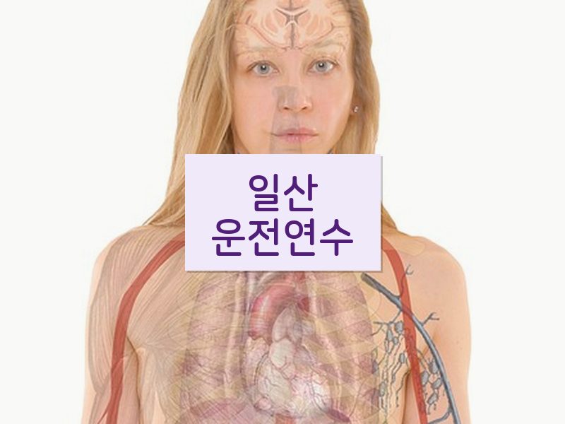 일산운전연수 후기