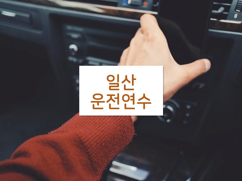 일산운전연수 후기