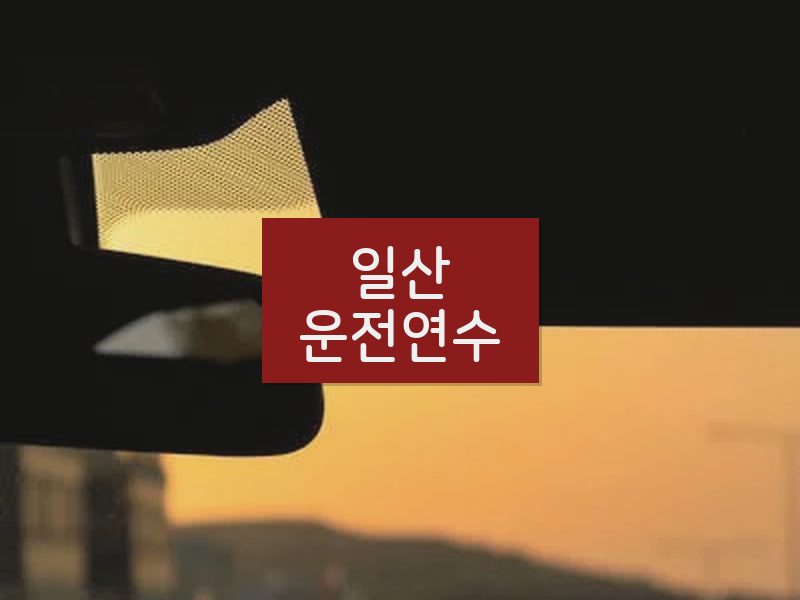 일산운전연수 후기