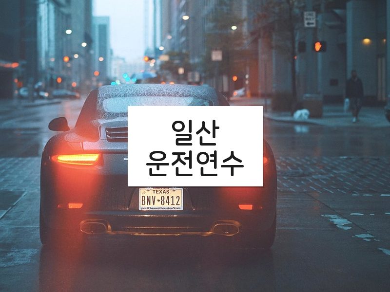 일산운전연수 후기