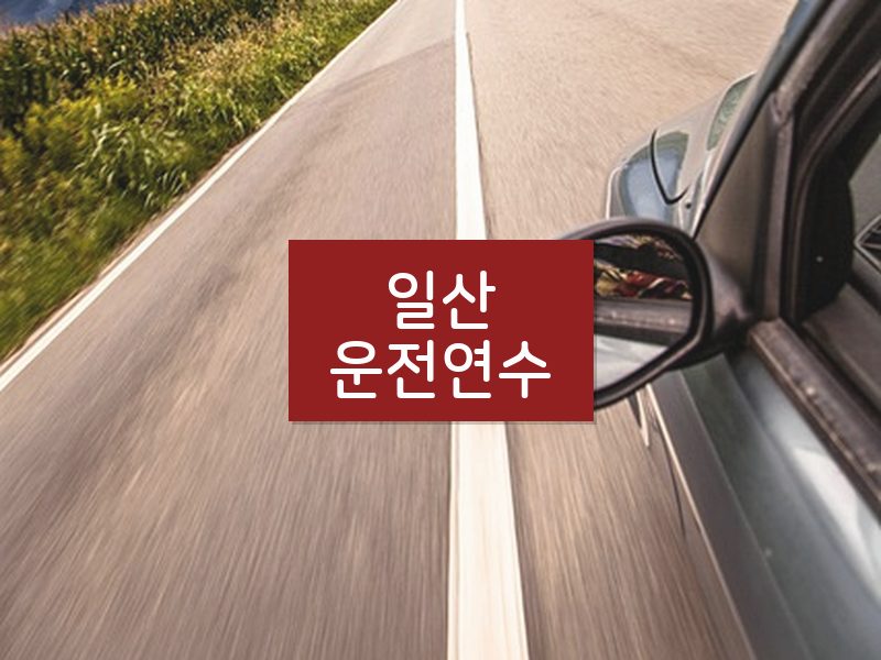 일산운전연수 후기