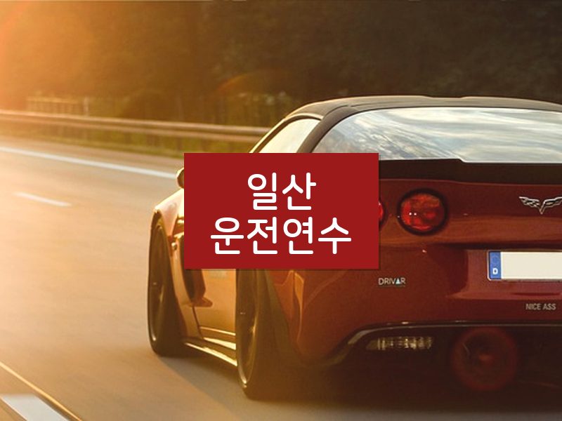 일산운전연수 후기