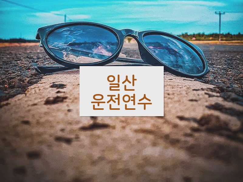 일산운전연수 후기