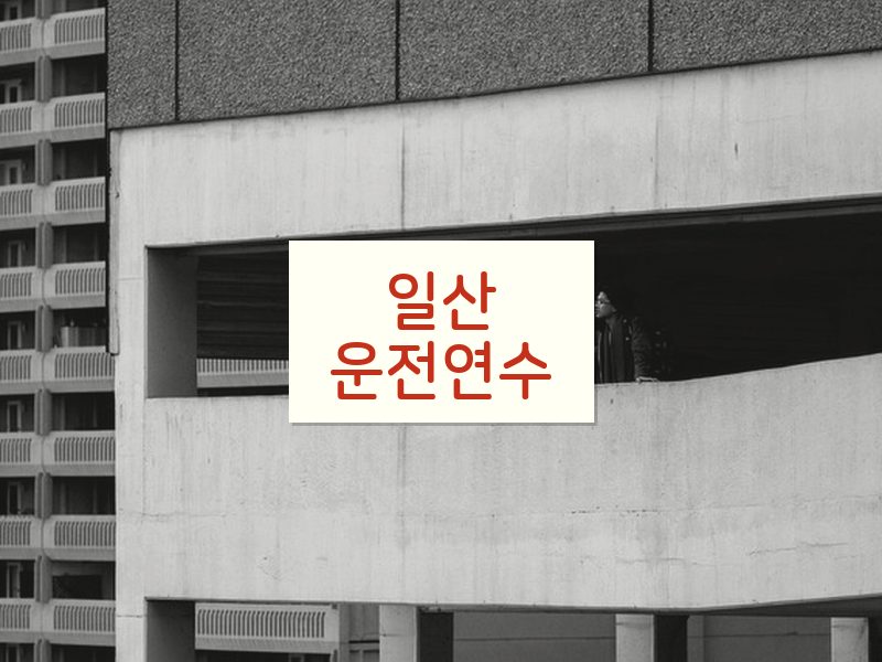 일산운전연수 후기