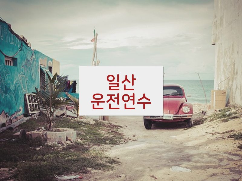 일산운전연수 후기