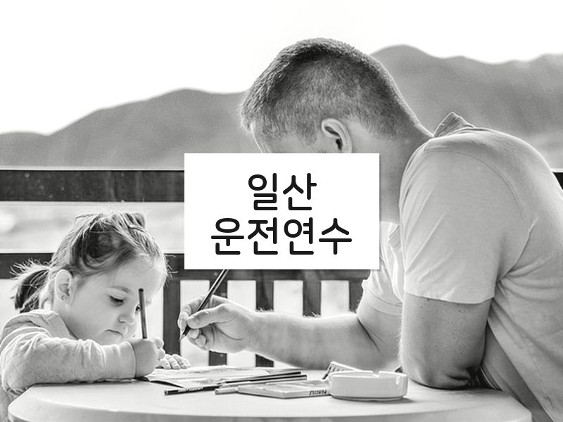 일산운전연수 후기