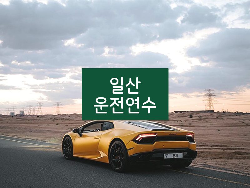 일산운전연수 후기