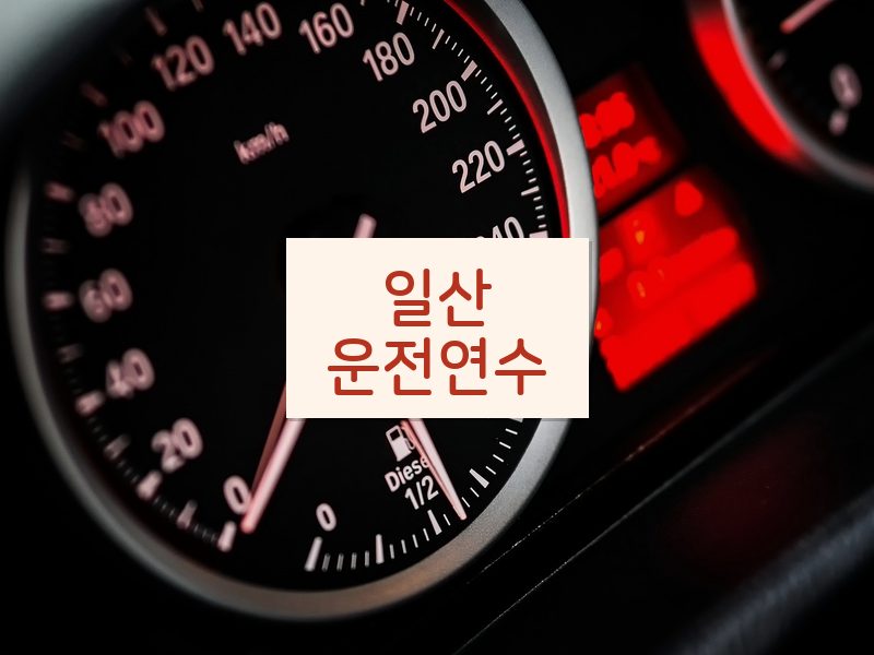 일산운전연수 후기