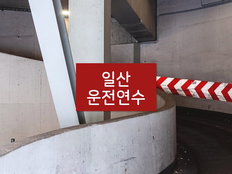 일산운전연수 후기