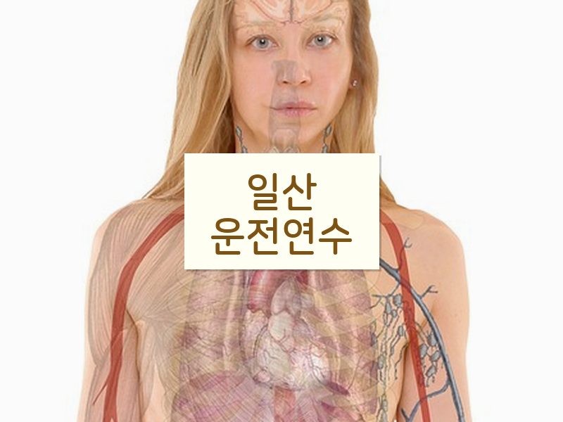 일산운전연수 후기