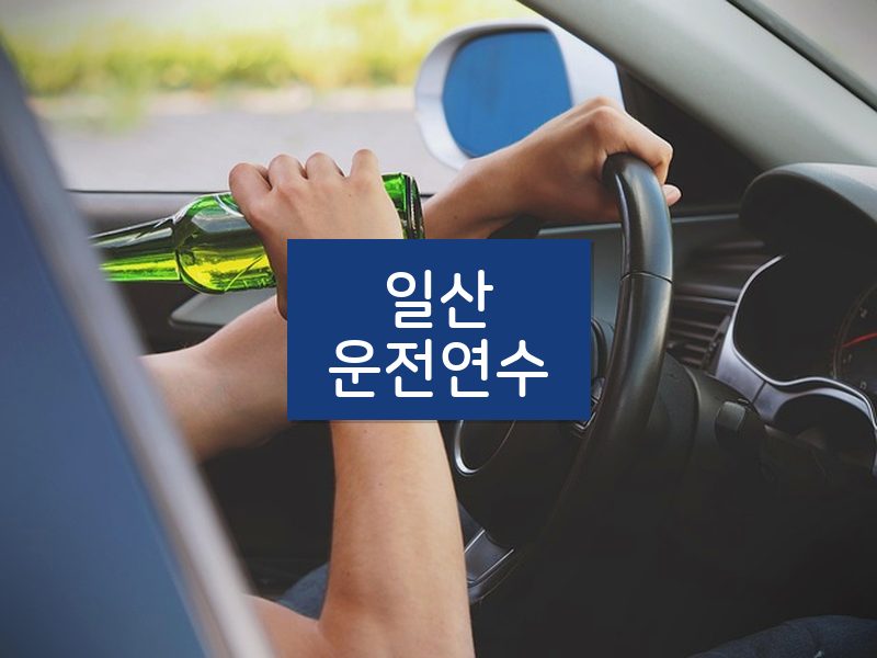 일산운전연수 후기
